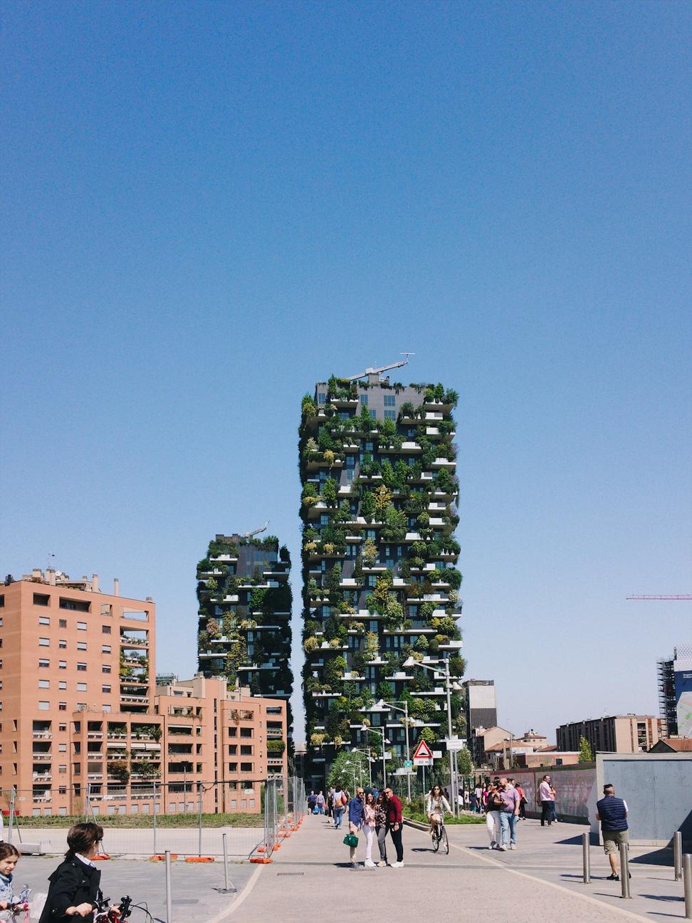 Sustainable architecture consultation